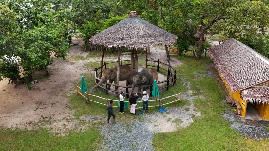 Koh Yao Island Safari — aerial view of the elephant camp
