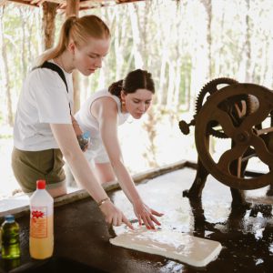 Alternative view of Program C: Local Agriculture & Thai Cooking Experience