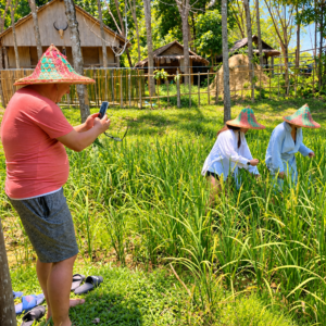 Program B: Koh Yao Yai Community & Local Life Tour - Image 7