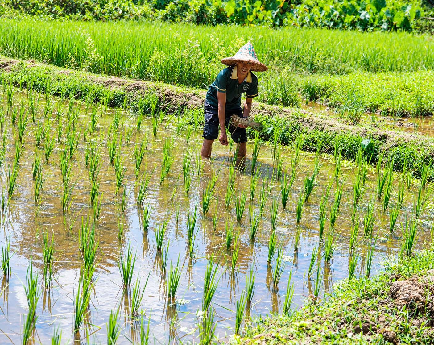 Program B: Koh Yao Yai Community & Local Life Tour - Image 4